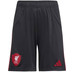 adidas Liverpool Uit Tenue Kids 2025/2026