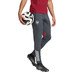 adidas Arsenal Training Pant 2025/2026
