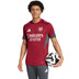 adidas Arsenal Trainingsset