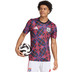 adidas Olympique Lyon Pre-Match Shirt 2025/2026 1