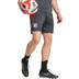 adidas Olympique Lyon Training Set