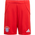 adidas Bayern München Pre-Match Trainingsset Kids