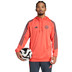 adidas Bayern München TK Hoody Trainingspak