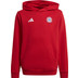 adidas Bayern Munich DNA Hoody Kids 3