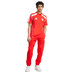 adidas Bayern München Urban Purist Tee 4