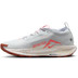 Nike Pegasus Trail 5 GTX Heren
