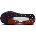 Nike Wildhorse 10 Herren