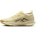 Nike Pegasus Trail 5 GTX Heren