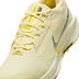 Nike Pegasus Trail 5 GTX Heren