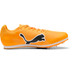 Puma evoSPEED Star 9