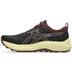 ASICS Trabuco Terra 3 Dames