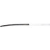 Brabo Traditional Carbon 100 LB