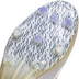 adidas F50 Elite FG