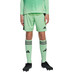 adidas Tiro 24 Torwartshort Kinder