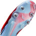 Nike Phantom 6 Low Elite SG-Pro
