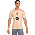 Nike FC Barcelona Trainingsset