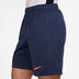 Nike FC Barcelona Trainingsset