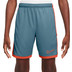 Nike Academy Shorts Barn