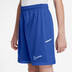 Nike Academy Short Kids