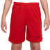 Nike Academy Short Kids