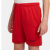 Nike Academy Short Kids