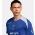 Nike Chelsea Strike Top 2025/2026