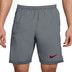 Nike Academy+ Shorts
