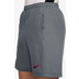 Nike Academy+ Shorts