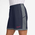 Nike Academy Shorts Dam