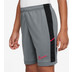 Nike Academy Shorts Barn