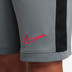 Nike Academy Shorts Barn