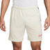 Nike Academy Shorts