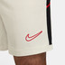 Nike Academy Shorts