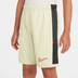 Nike Academy Short Kinder
