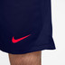 Nike Strike Shorts