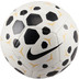 Nike Teknikboll
