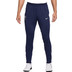 Nike Tottenham Hotspur Trainingspak
