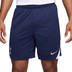 Nike Tottenham Training Set