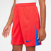 Nike Paris Saint-Germain 3rd Short Kids 2025/2026 4