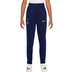 Nike Tottenham Hotspur Strike Hose Kinder 25/26 1