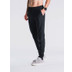 Fusion Recharge Broek Heren