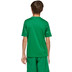 adidas Team Icon 25 Trainingsset Kids