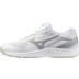 Mizuno Cyclone Speed 5