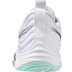 Mizuno Wave Momentum Elite Dam