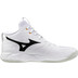 Mizuno Wave Momentum Pro Mid
