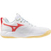 Mizuno Wave Momentum Pro Women