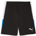 Puma LIGA Trainings-Short 1