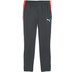 Puma LIGA Training Pant
