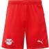Puma Red Bull Leipzig Heim Outfit Kinder