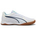 Puma Pressing IV Indoor 1